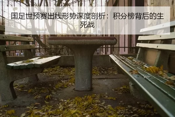 国足世预赛出线形势深度剖析：积分榜背后的生死战